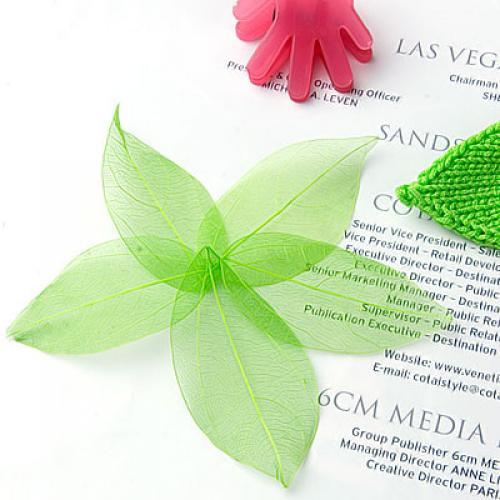 Craft Embellishments - Doğal Catbrier İskeleti Yaprakları Çok Amaçlı
