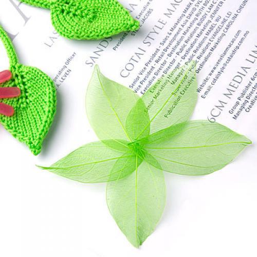 Doğal Catbrier İskeleti Yaprak - Craft Embellishments incelemesi ve fiyatı