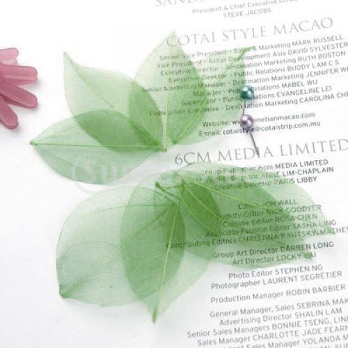 Doğal Catbrier İskeleti Yaprak - Craft Embellishments incelemesi ve fiyatı