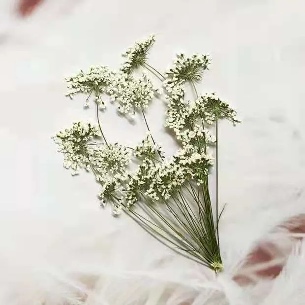 5-7 cm/12 adet, Şube ile Kar M - Craft Embellishments incelemesi ve fiyatı