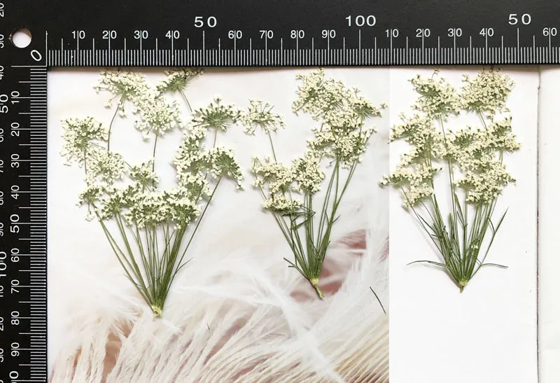 5-7 cm/12 adet, Şube ile Kar M - Craft Embellishments incelemesi ve fiyatı