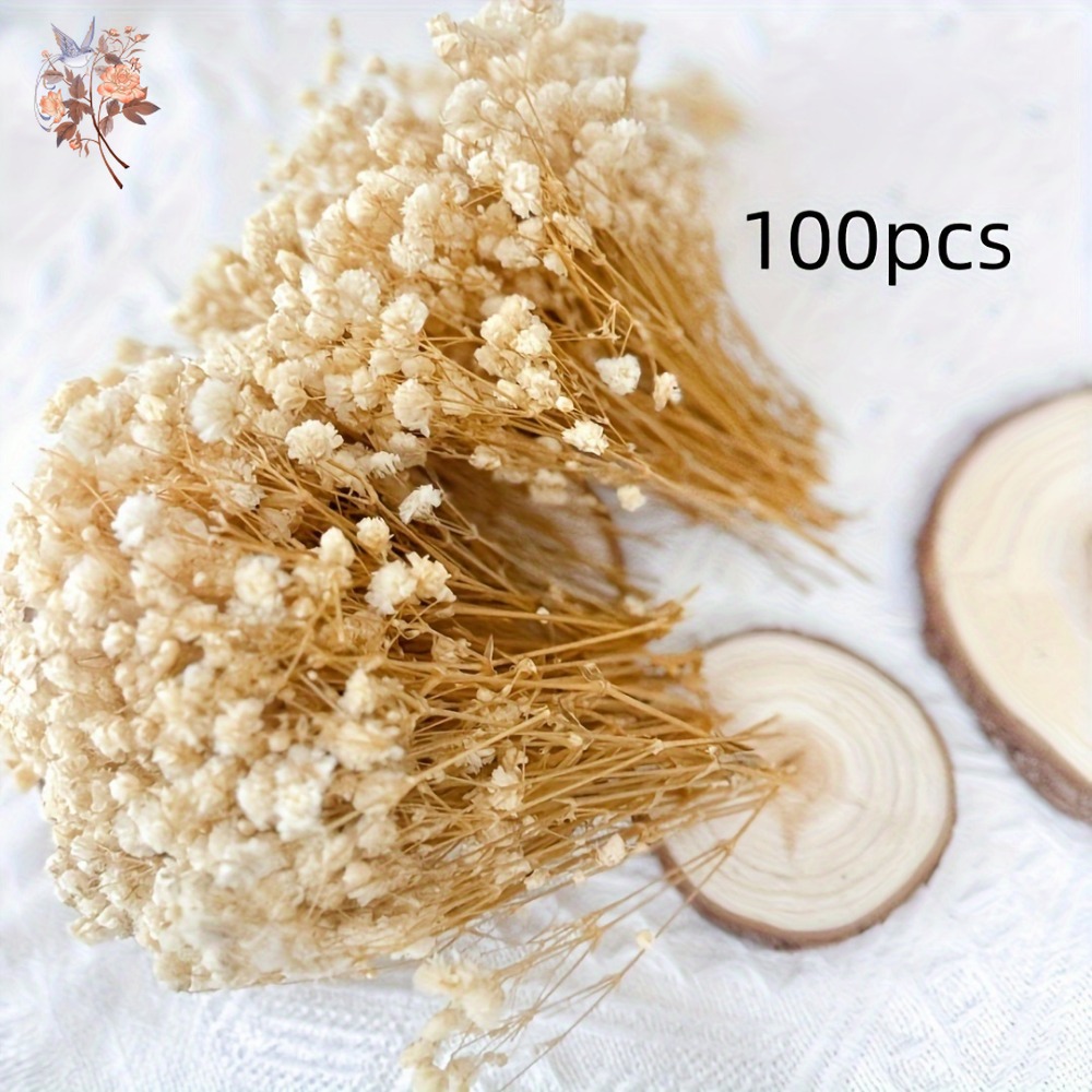 100 adet Mini Kurutulmuş Cipso - Craft Embellishments incelemesi ve fiyatı