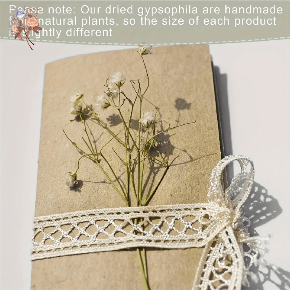 100 adet Mini Kurutulmuş Cipso - Craft Embellishments incelemesi ve fiyatı